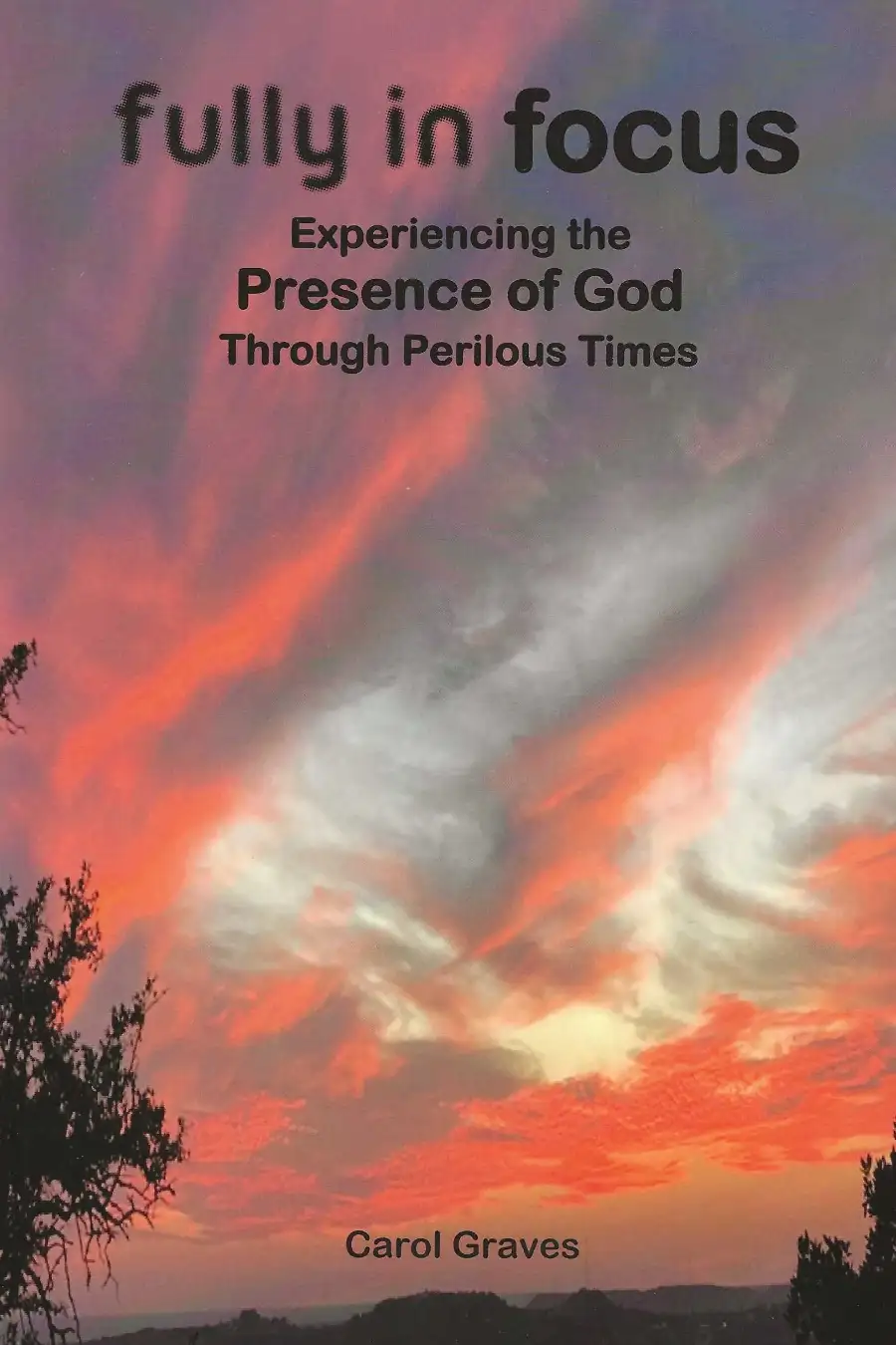 Fully in Focus - Experiencing the Presence of God through Perilous Times  Image